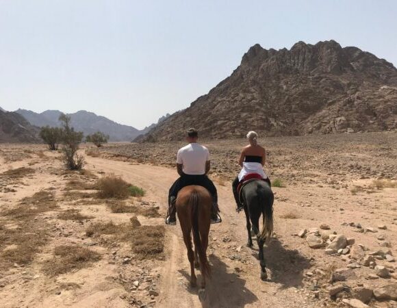 Makadi Bay: Horse Riding Private 2 Hours With Guide