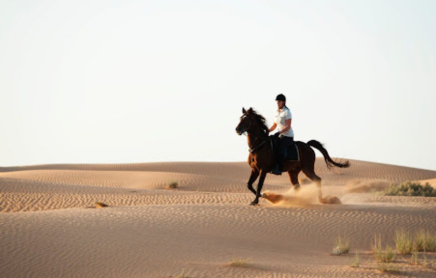 Soma Bay: Horse Riding Private 2 Hours With Guide