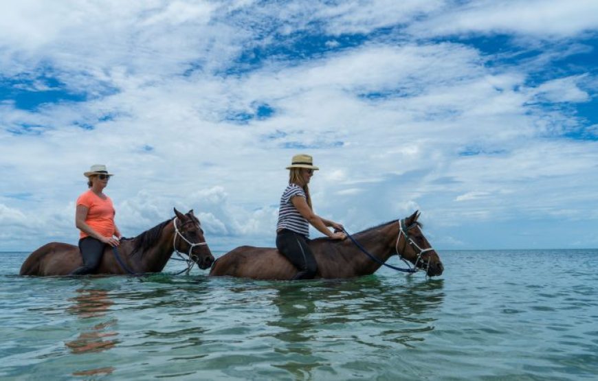 Dahab: Horse Riding