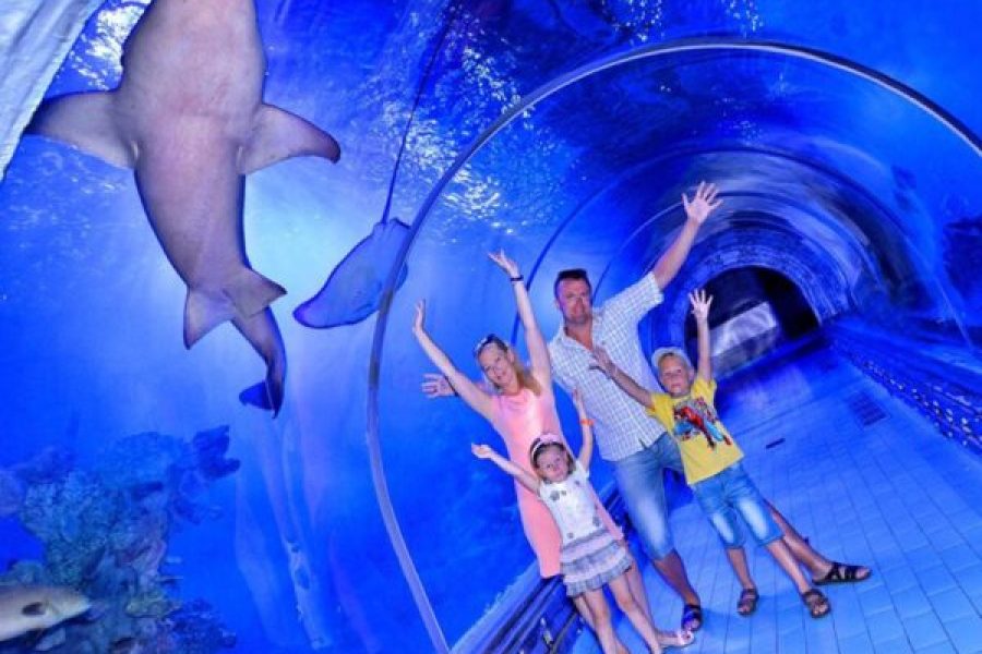 Hurghada: Grand Aquarium Entry Tickets And Transfer