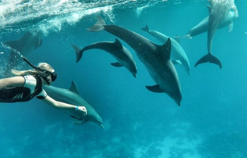 Hurghada: Sea Package 3 Tours – Orange Island, Dolphin House, Utopia Island