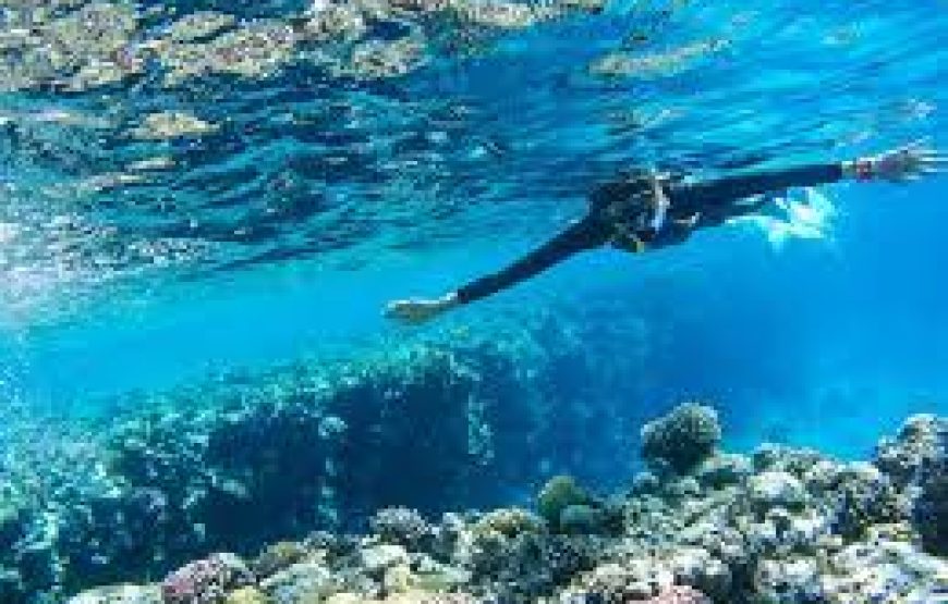 Soma Bay: Utopia Island Snorkeling Trip With Lunch