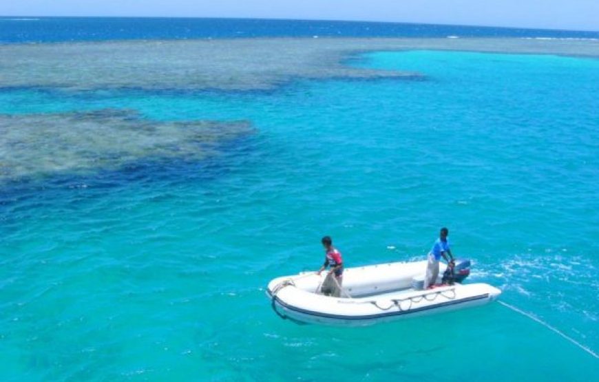 Soma Bay: Utopia Island Snorkeling Trip With Lunch