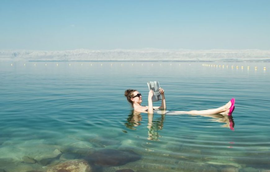 Hurghada: Speedboat Dolphin Watching And Snorkeling Tour