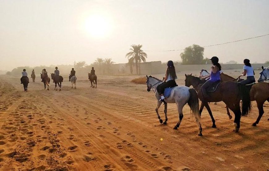 Marsa Alam: Horse And Camel Ride On The Desert Or Beach