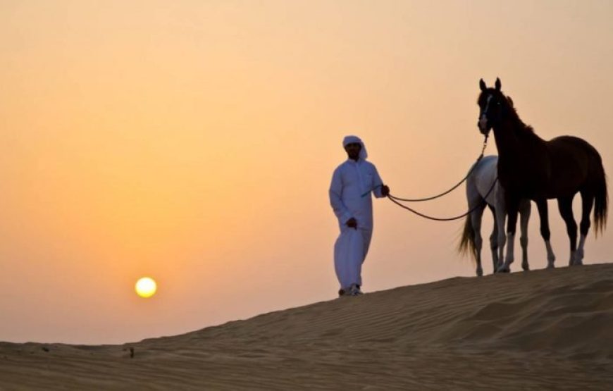 Marsa Alam: Horse And Camel Ride On The Desert Or Beach