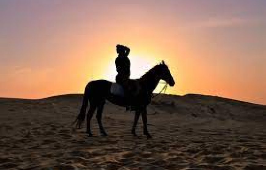 Hurghada: Horse Riding Private 2 Hours With Guide