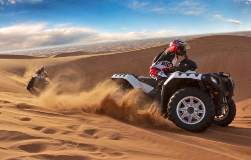 El Gouna: 3-Hour Desert Safari Quad Bike And Camel Ride