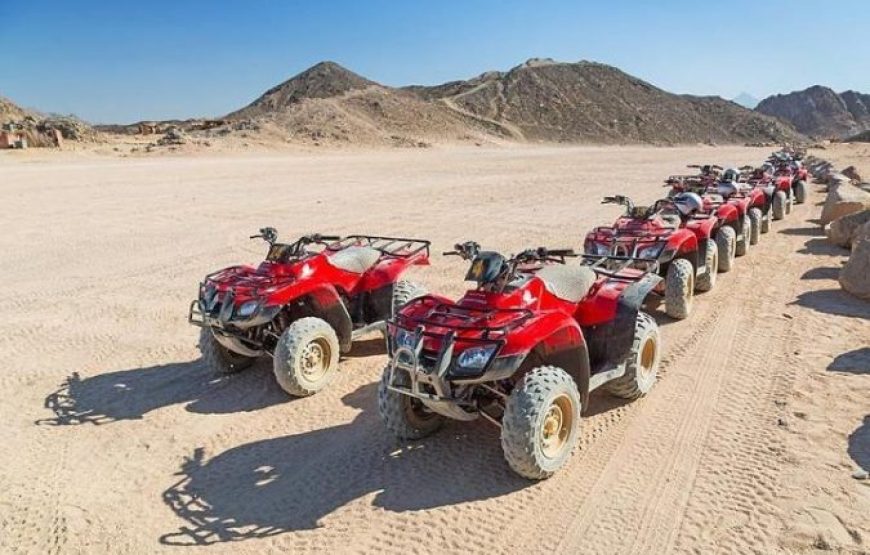 Marsa Alam: Three Hours Morning Or Sunset Quad Bike Safari With Camel Ride