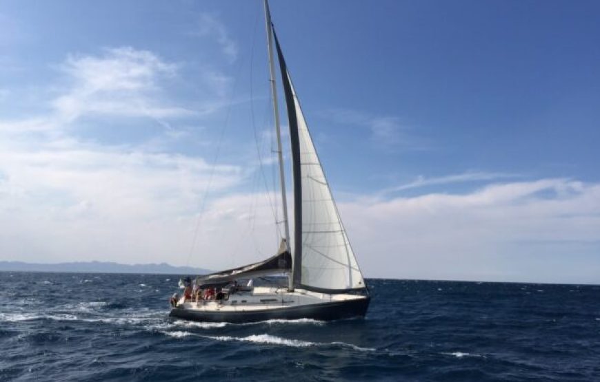 Hurghada: Half-Day Sailing Cruise With Snorkeling & Transfers