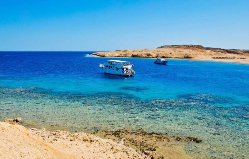 Sharm El Sheikh: Ras Mohammed National Park half day tour by bus.