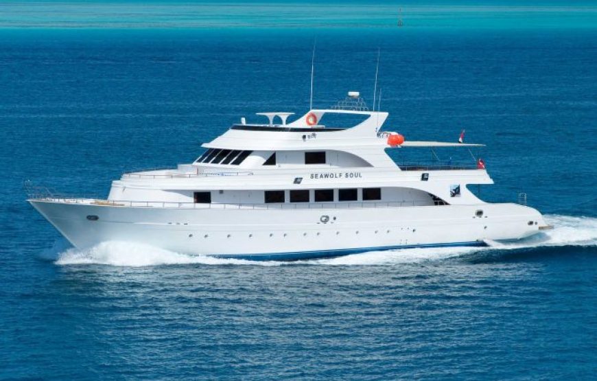 Hurghada: Private Boat Full-Day Snorkeling Trip With Lunch