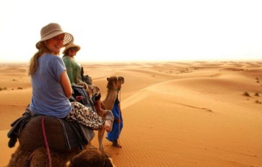 Marsa Alam: Horse And Camel Ride On The Desert Or Beach
