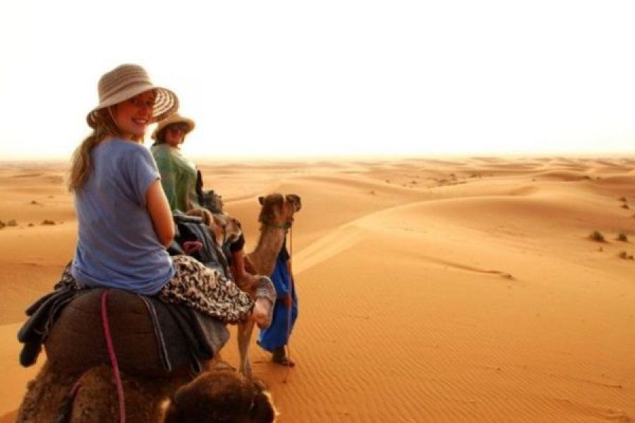 Marsa Alam: Horse And Camel Ride On The Desert Or Beach