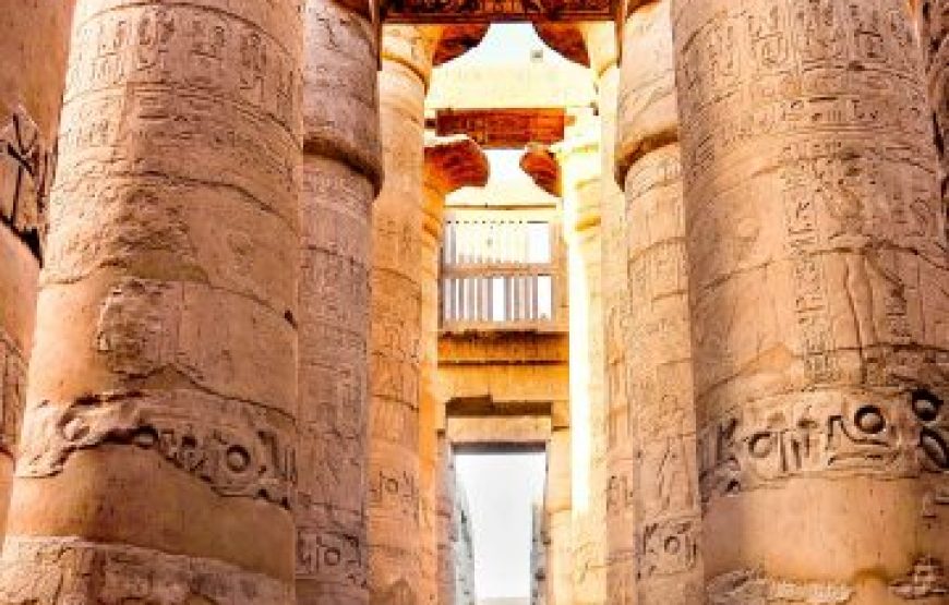 El Gouna: Escursione di un giorno a Luxor e alla Valle dei Re
