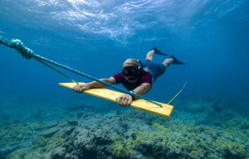 Hurghada: Sub-Wing Snorkeling Activity With Hotel Pick Up