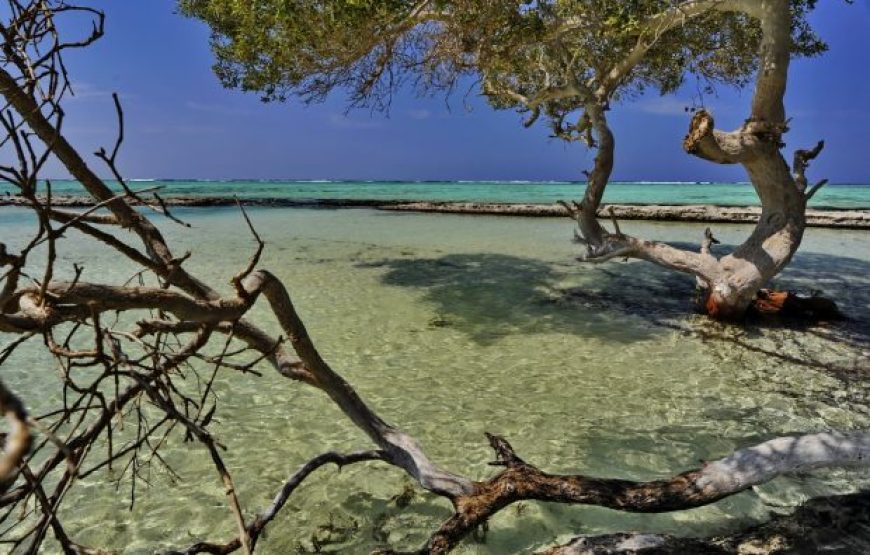 Marsa Alam: Day Trip At Wadi El Gemal National Park