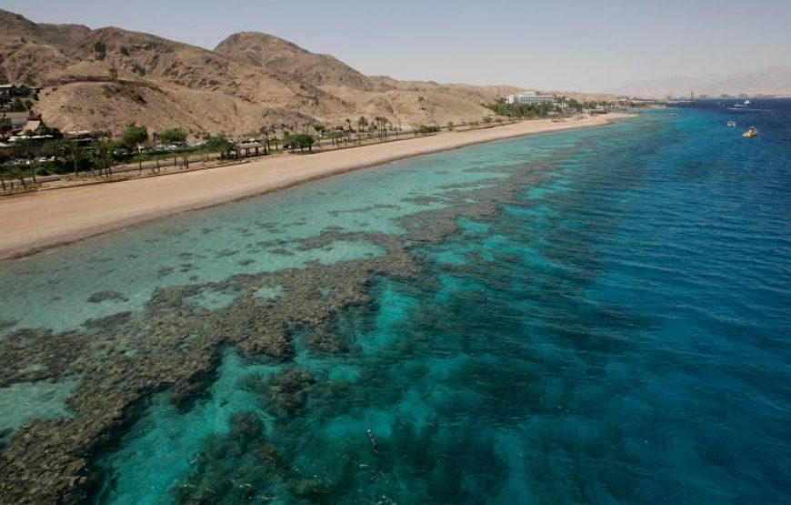 Sharm El Sheikh: VIP Private Boat Trip