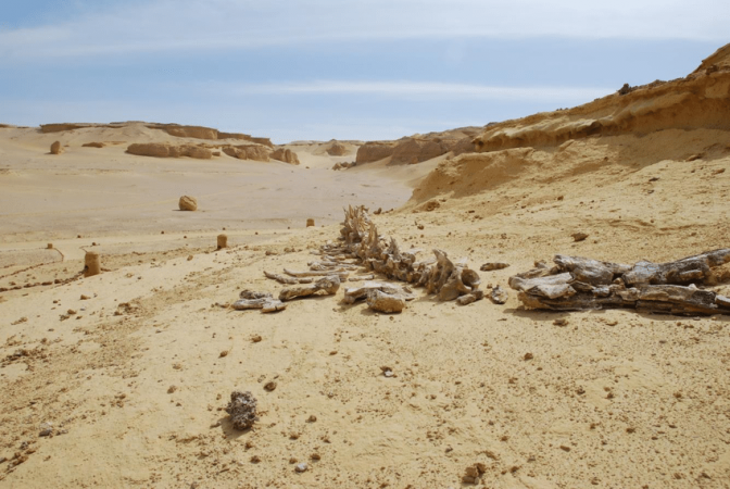 Fayoum