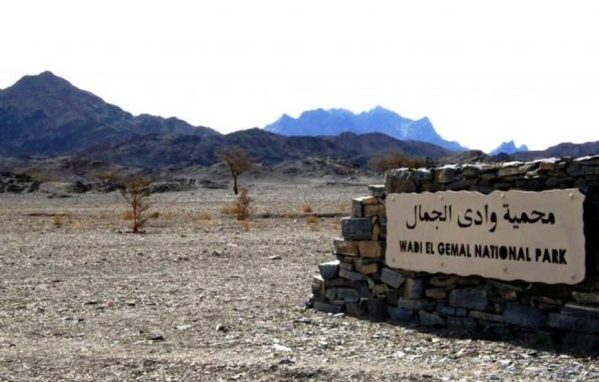 Marsa Alam: Day Trip At Wadi El Gemal National Park