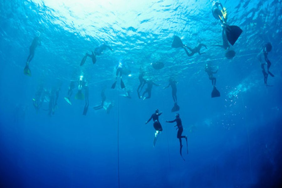 Dahab: Quad Biking, Snorkeling, Diving & Camel Riding