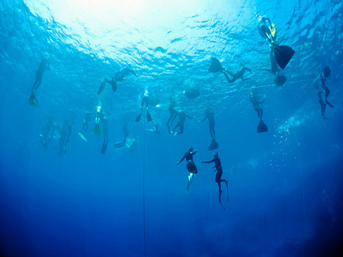 Dahab: Quad Biking, Snorkeling, Diving & Camel Riding