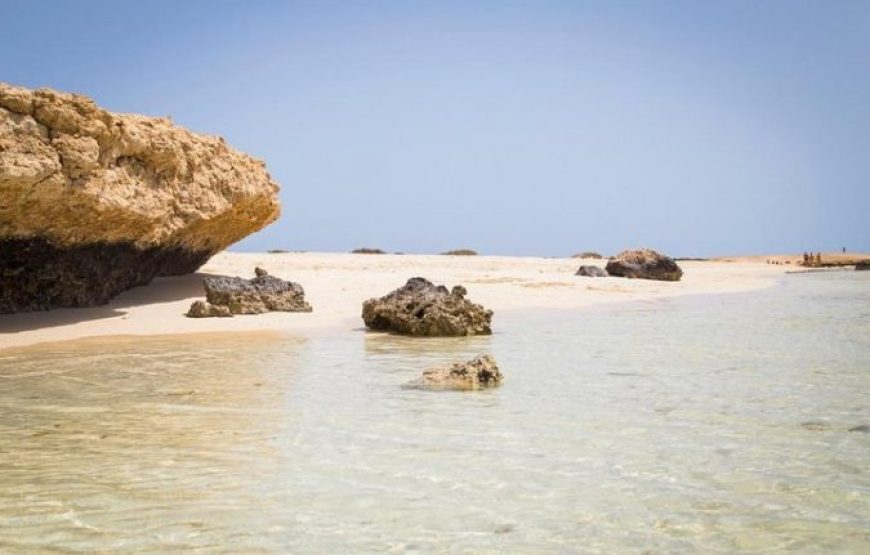 Marsa Alam: Snorkeling And Beach Trip To Sharm El Luli