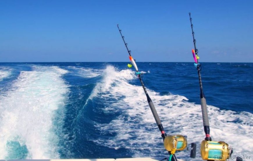 El Gouna: Fishing Boat Trip With Lunch And Snorkeling
