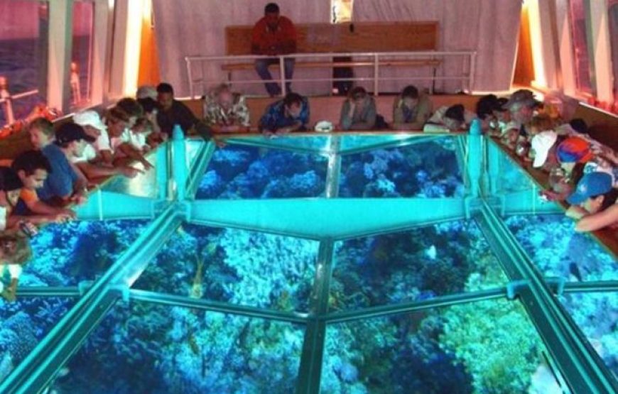 Sharm El Sheikh: Glass Bottom Boat Trip