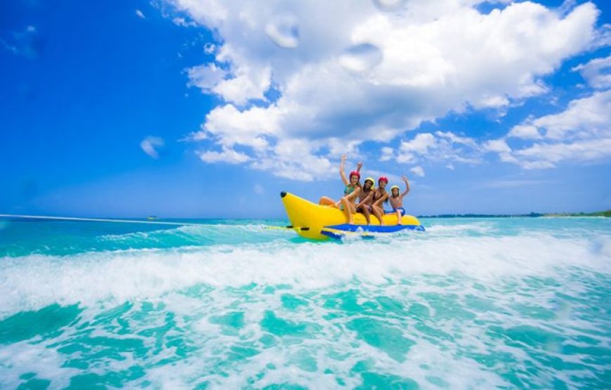 Soma Bay: Dolphin House Snorkeling Day Tour With Lunch And Drinks