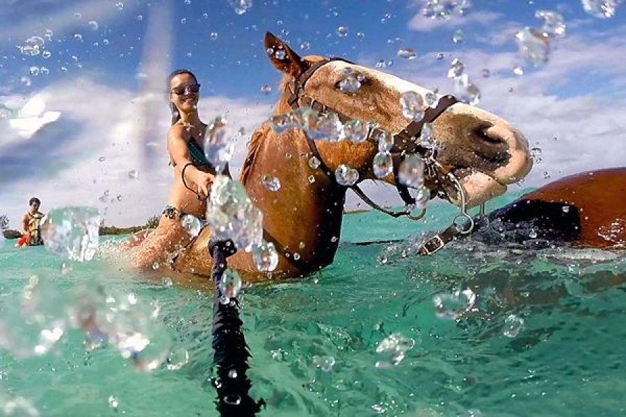 Dahab: Horse Riding