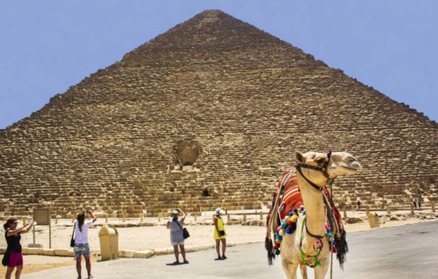 Marsa Alam: Full-Day Tour Of Cairo By Plane