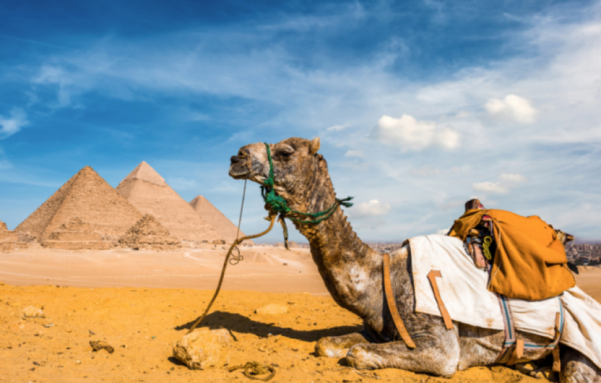 El Gouna: El Gouna: Day Trip to Cairo by Plane