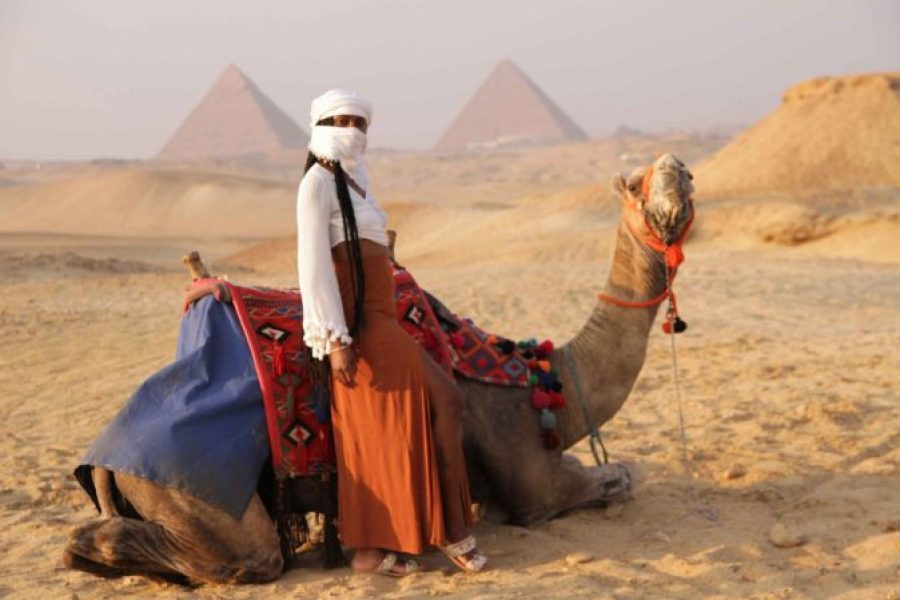 Cairo and Sharm el Sheikh 8 Days Trip