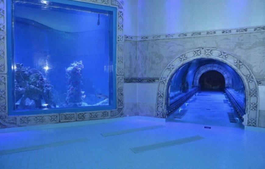Hurghada: Grand Aquarium Entry Tickets And Transfer