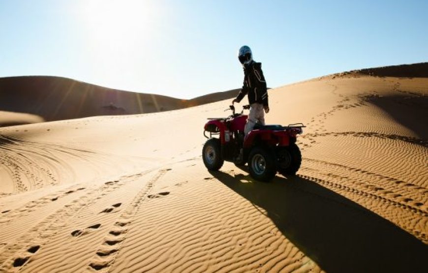 Marsa Alam: 3-Hour Morning Or Sunset Desert Safari By Quad