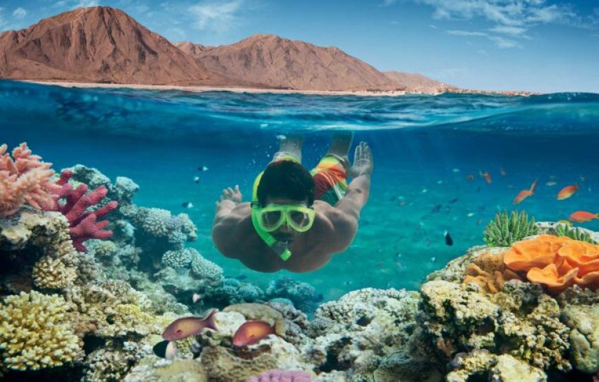 Hurghada: Orange Bay & Paradise Islands Speedboat Trip