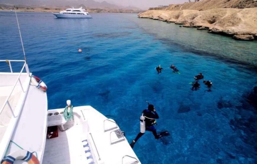 Soma Bay: Diving Tour With Lunch & Two Dive Sites