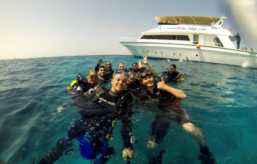 Sharm El Sheikh: Offshore Scuba Diving