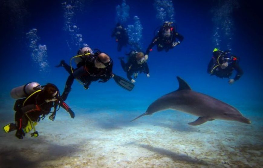 Makady Bay: Diving Course PADI 3 Days With Transfers
