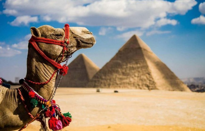 Hurghada: Mini Egypt Park With Transfer