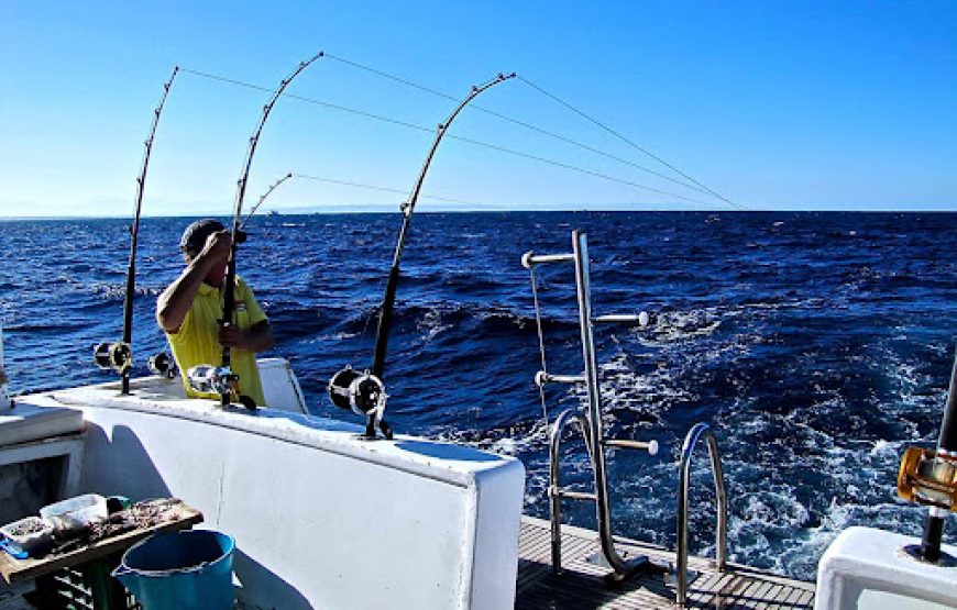 Soma Bay: Fishing Boat Trip With Lunch And Snorkeling
