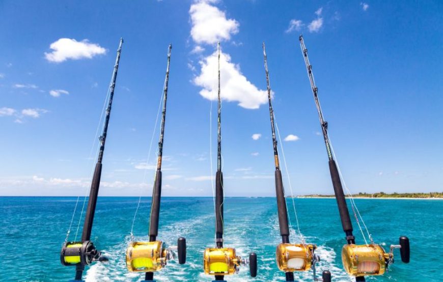 Soma Bay: Fishing Boat Trip With Lunch And Snorkeling