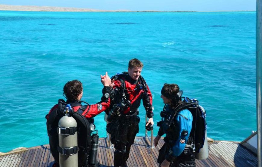 Sharm El Sheikh: Offshore Scuba Diving