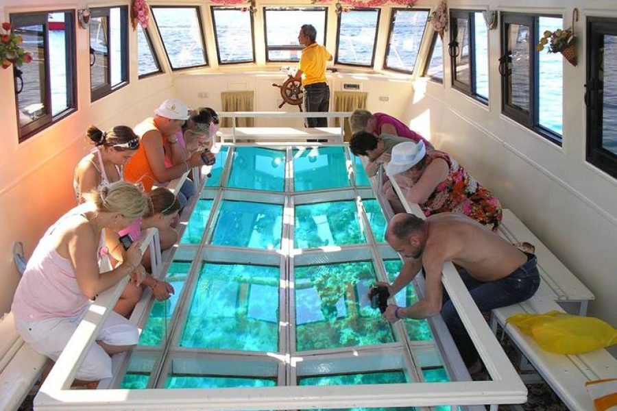 Sharm El Sheikh: Glass Bottom Boat Trip