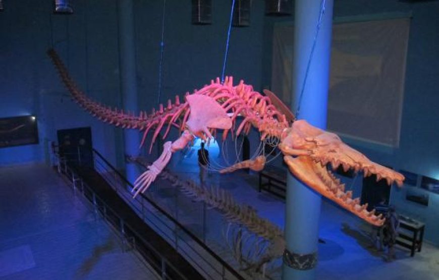 Hurghada: Grand Aquarium Entry Tickets And Transfer