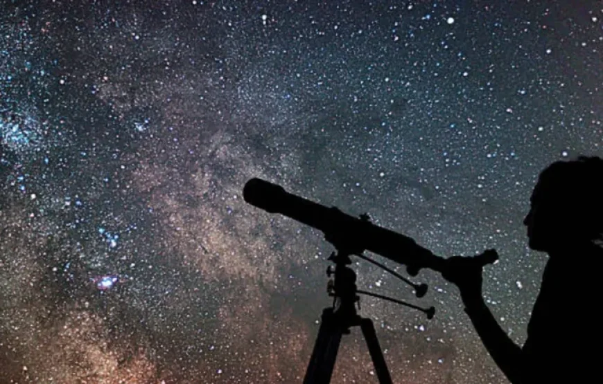 El Gouna: Star Watching Adventure Trip By Jeep With Dinner