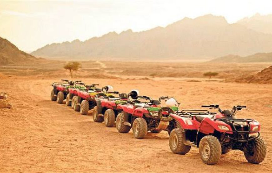 Makadi Bay: 2-Hour Quad Bike Tour Along Sea And Desert