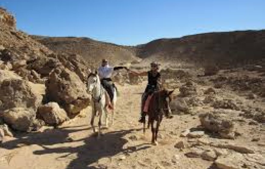 Soma Bay: Horse Riding Private 2 Hours With Guide