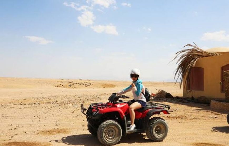 Sharm El Sheikh: Sunrise Quad Biking And Snorkeling Trip